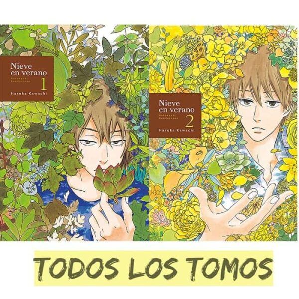 Manga Nieve en verano